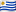 UY Flag