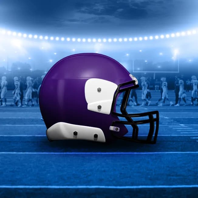 Minnesota Vikings