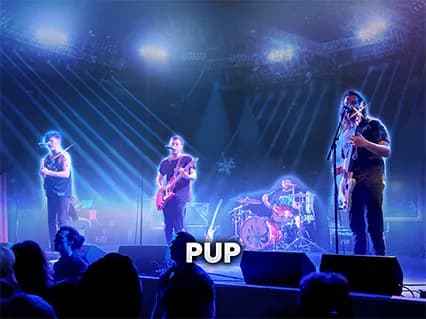 Pup