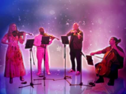 Vitamin String Quartet