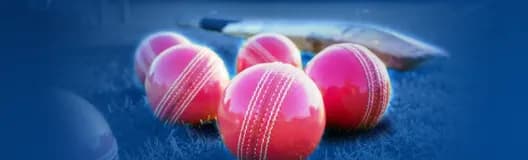 Cricket