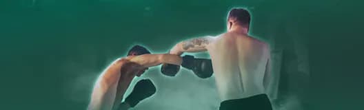 Heavyweight Championship Boxing