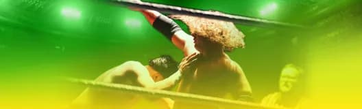 WWE Money In The Bank