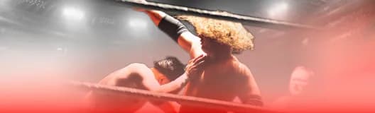 WWE Summer Tour