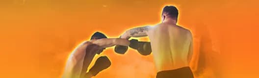 Unified Lightweight Championship of the World