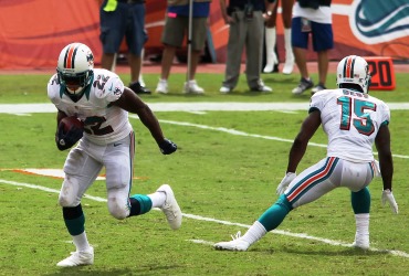 Miami Dolphins
